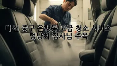 대전 중구 은행동 고급 청소 서비스✨ 멍냥이 집사님 주목!