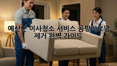 예산군 이사청소 서비스: 곰팡이/오염 제거 완벽 가이드! ✨