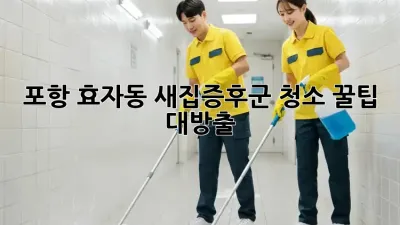 포항 효자동 새집증후군 청소 꿀팁 대방출🏡✨