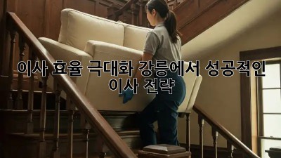 이사 효율 극대화: 강릉에서 성공적인 이사 전략