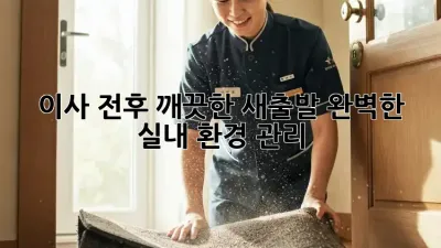 이사 전후, 깨끗한 새출발! 완벽한 실내 환경 관리