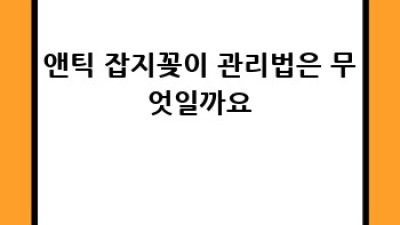 앤틱 가구 잡지꽂이: 집안 분위기 UP! ✨